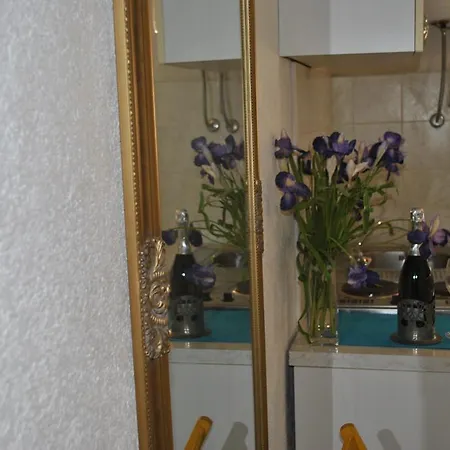 Optimist Studio Apartman Διαμέρισμα *