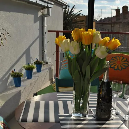 Optimist Studio Apartman Μακάρσκα